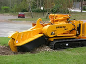 Dallas land clearing
