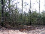 Before - The end result is a cost saving process