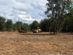 hydro-axe mulching Houston