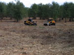 stump grinding Houston