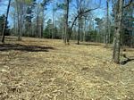 After – Very little ground disturbance