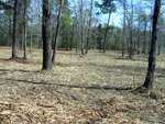After - Innovative, efficient, environmentally safe