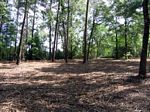 After – Mulch aids in the retention of the soil