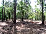 After – Improve land without destruction