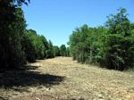 Easements – Right of ways – Utility maintenance