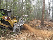 Huntsville land clearing