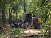 Hydro Ax Mulching Houston