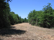 Land Clearing Houston Texas Dallas Tomball Oklahoma Louisiana