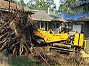 stump removal